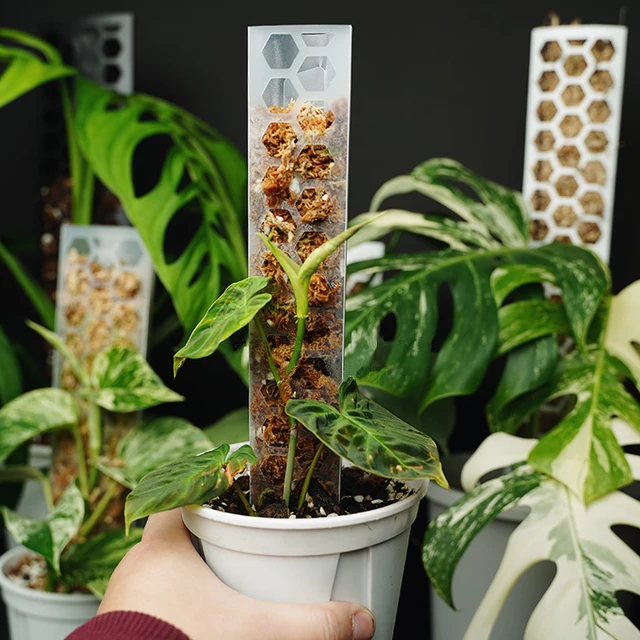Fillable Moss Pole - Large - 23"