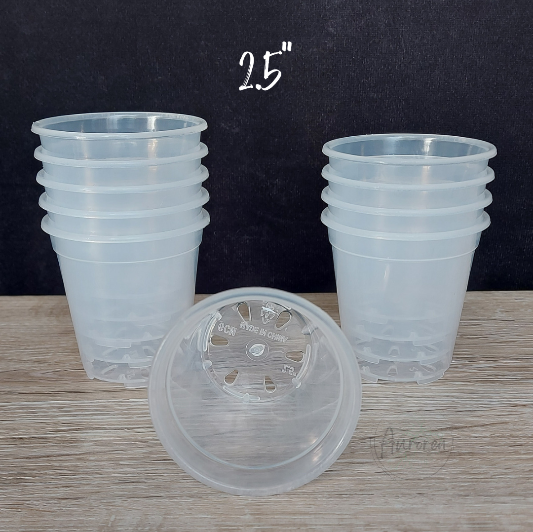 2.5" Clear Plant Pot