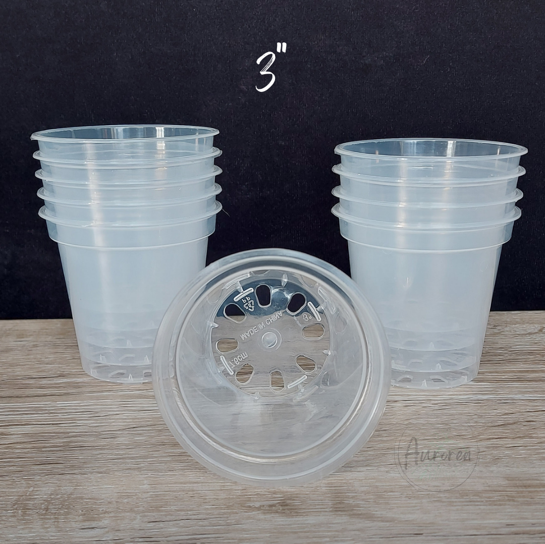 3" Clear Plant Pot