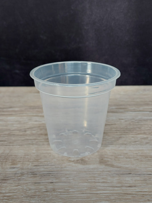 3" Clear Plant Pot