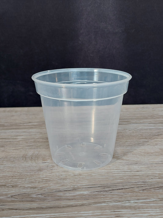4" Clear Plant Pot