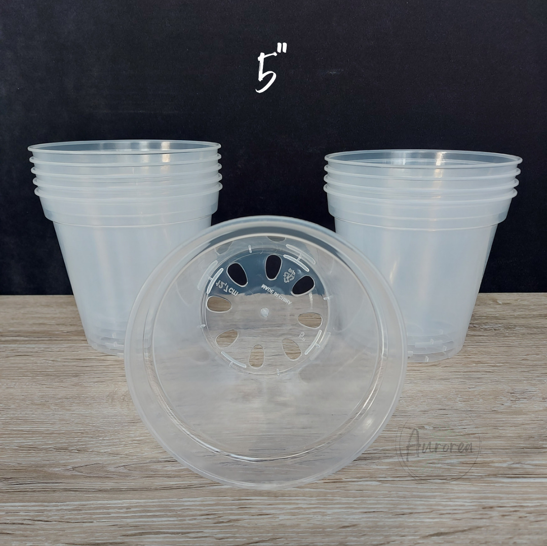 5" Clear Plant Pot