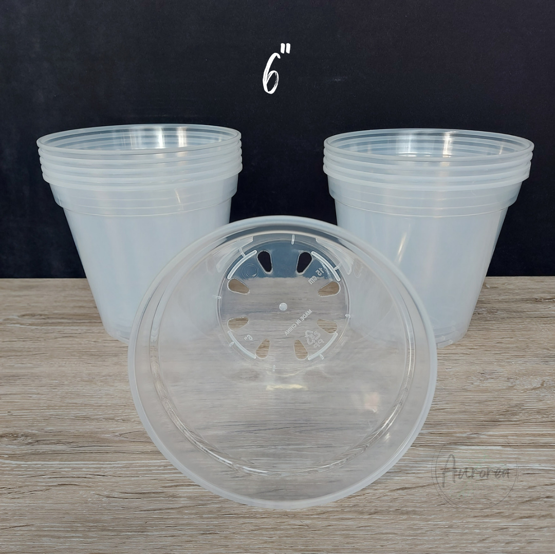 6" Clear Plant Pot