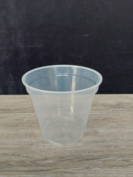 6" Clear Plant Pot