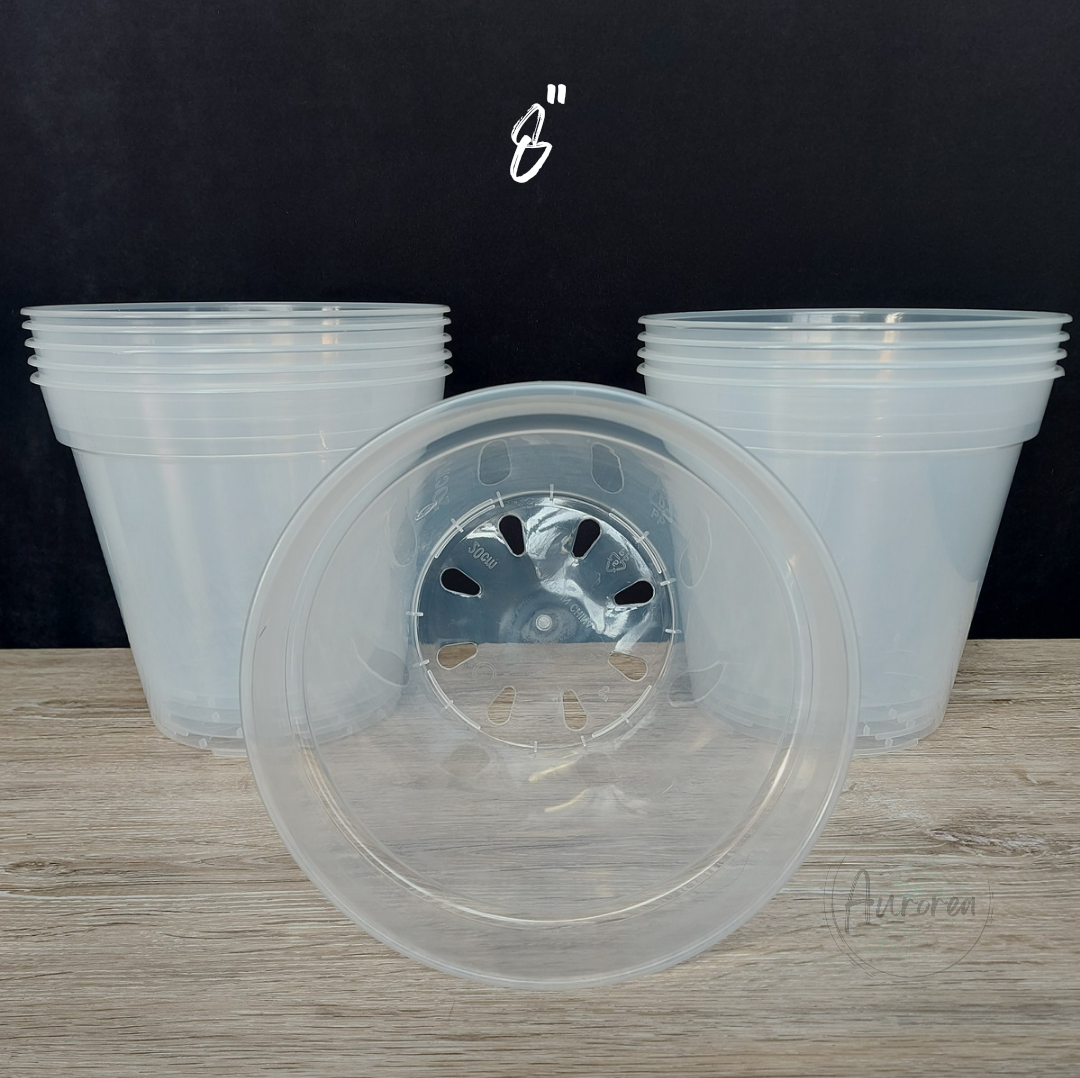 8" Clear Plant Pot