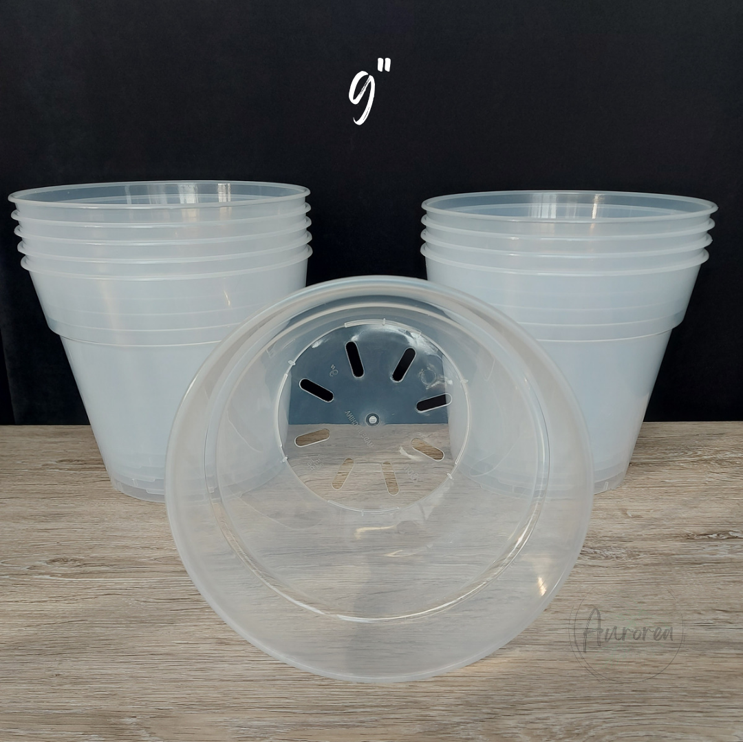 9" Clear Plant Pot