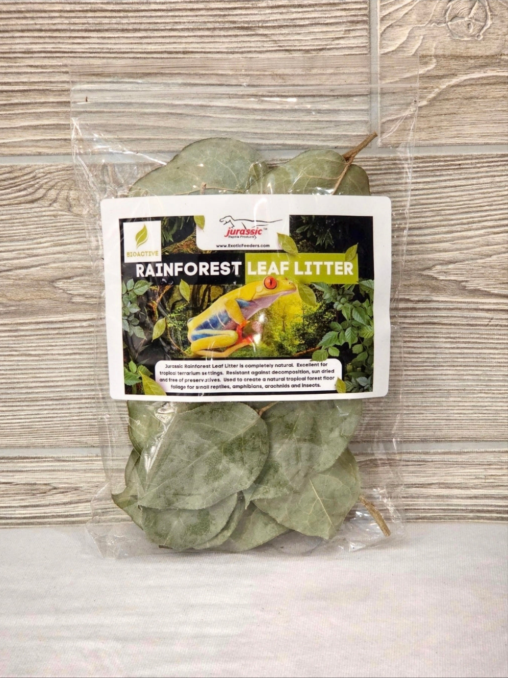 Rainforest Leaf Litter