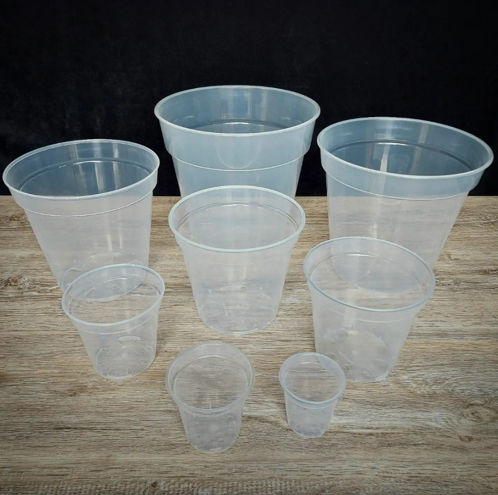 10" Clear Plant Pot