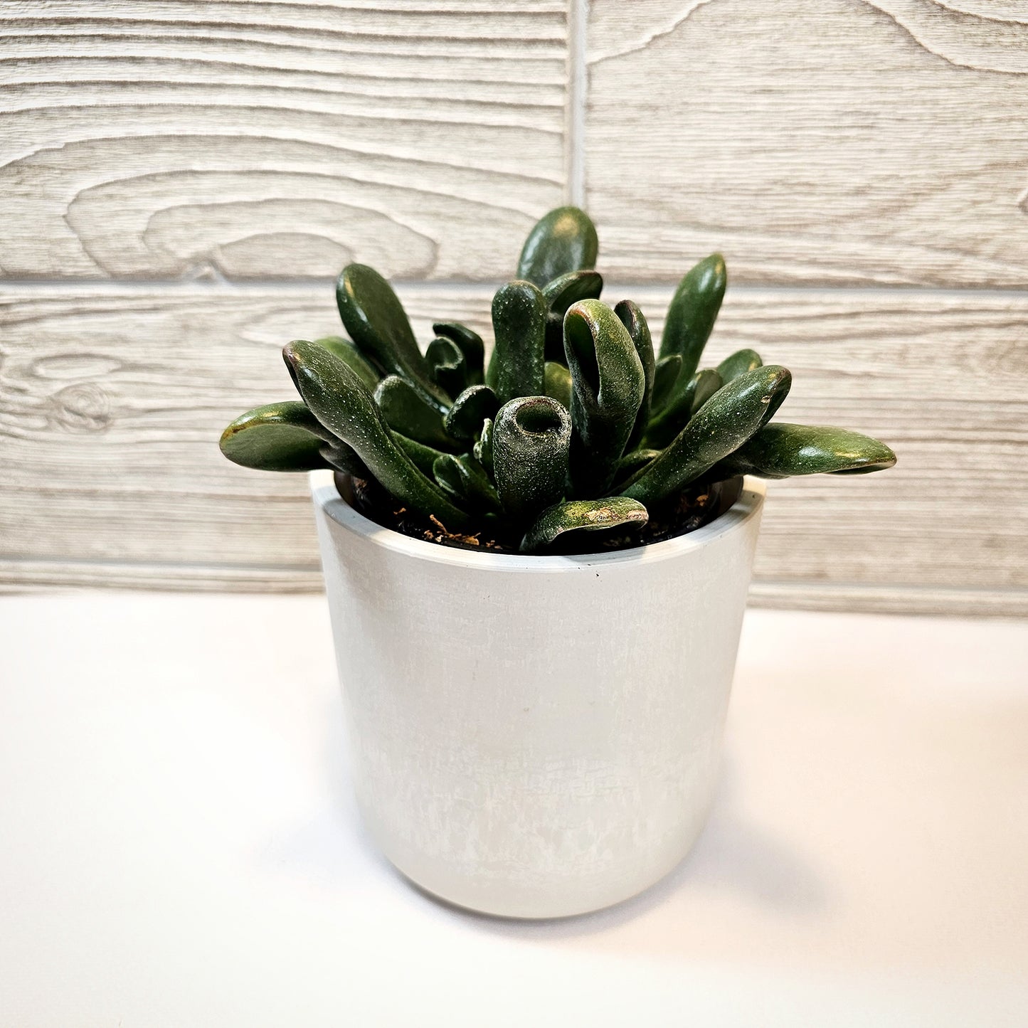 Gollum Jade 4"