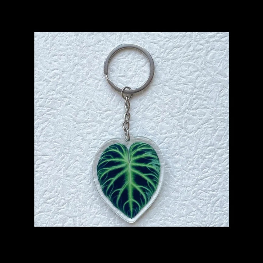 Philodendron Verrucosum Keychain