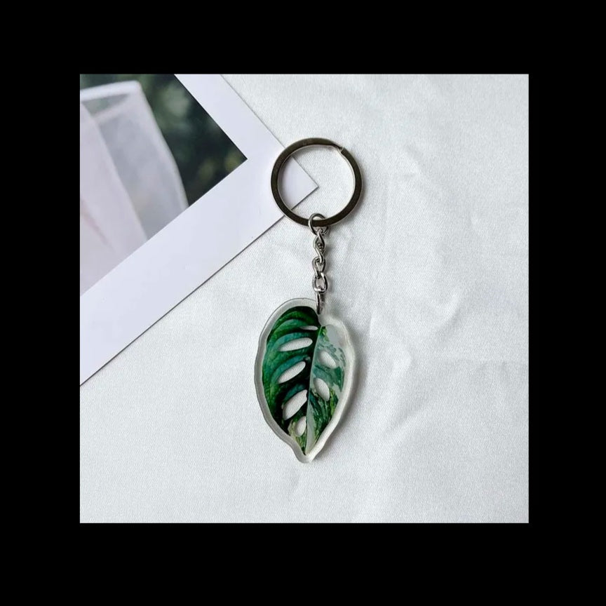 Adansonii Variegated Keychain