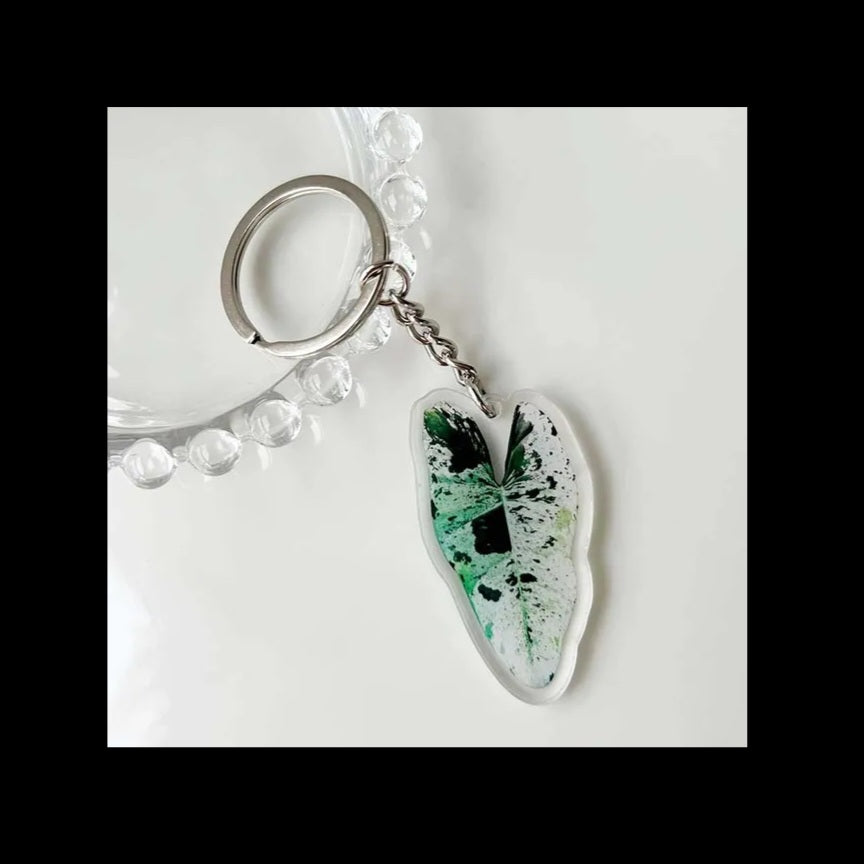 Variegated Plant Keychain