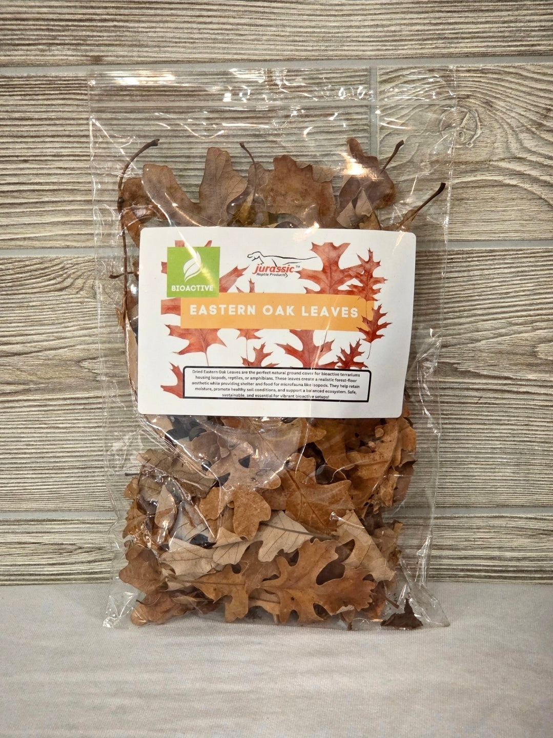 Eastern Oak Leaves