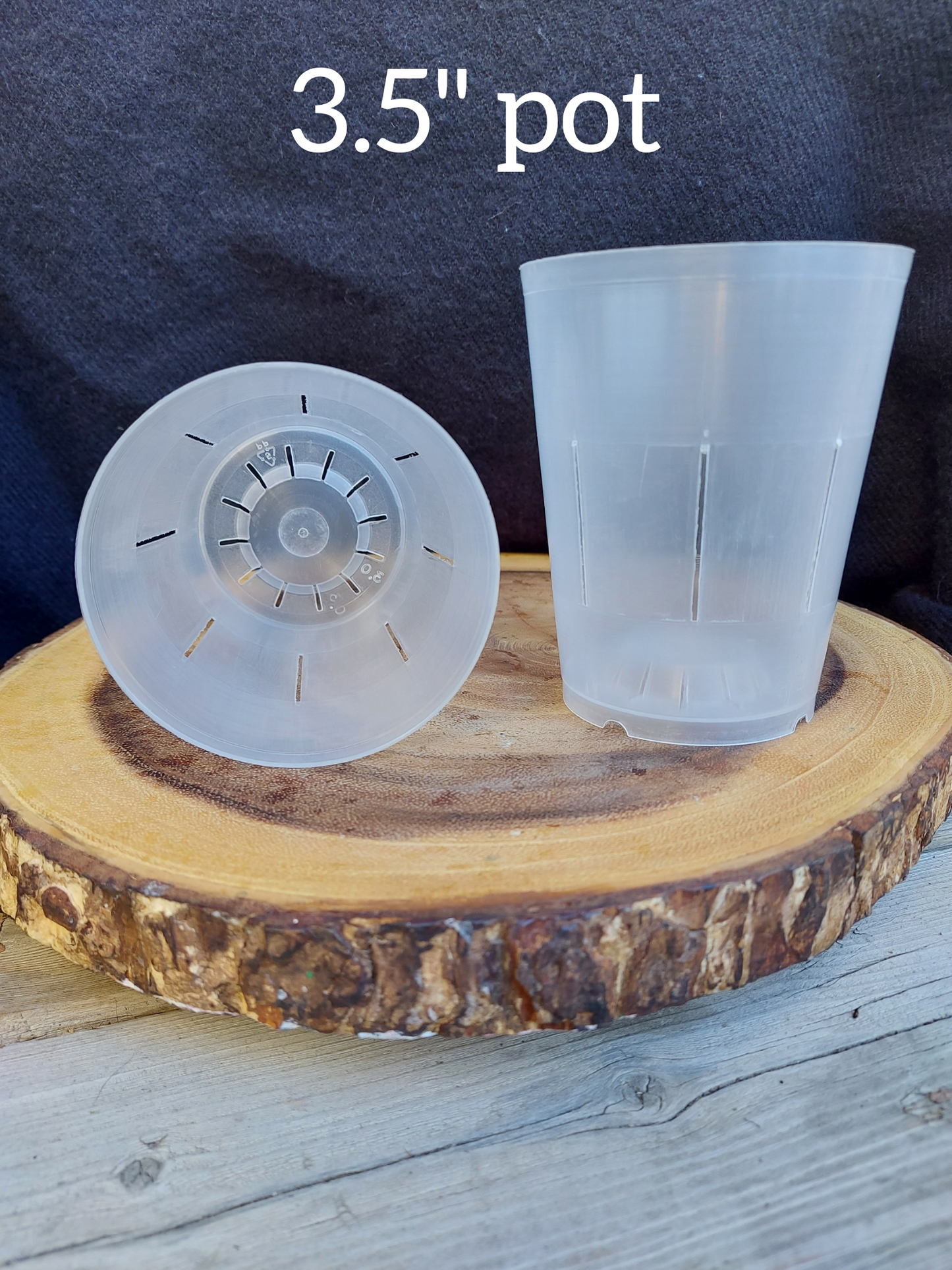 3.5" Clear Orchid Pot