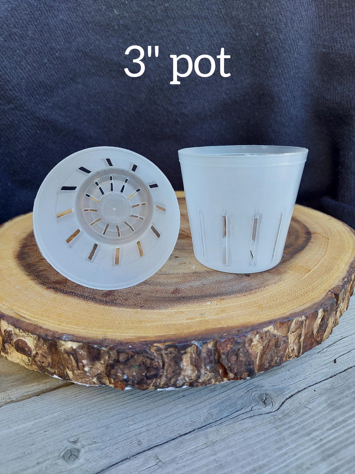 3" Clear Orchid Pot