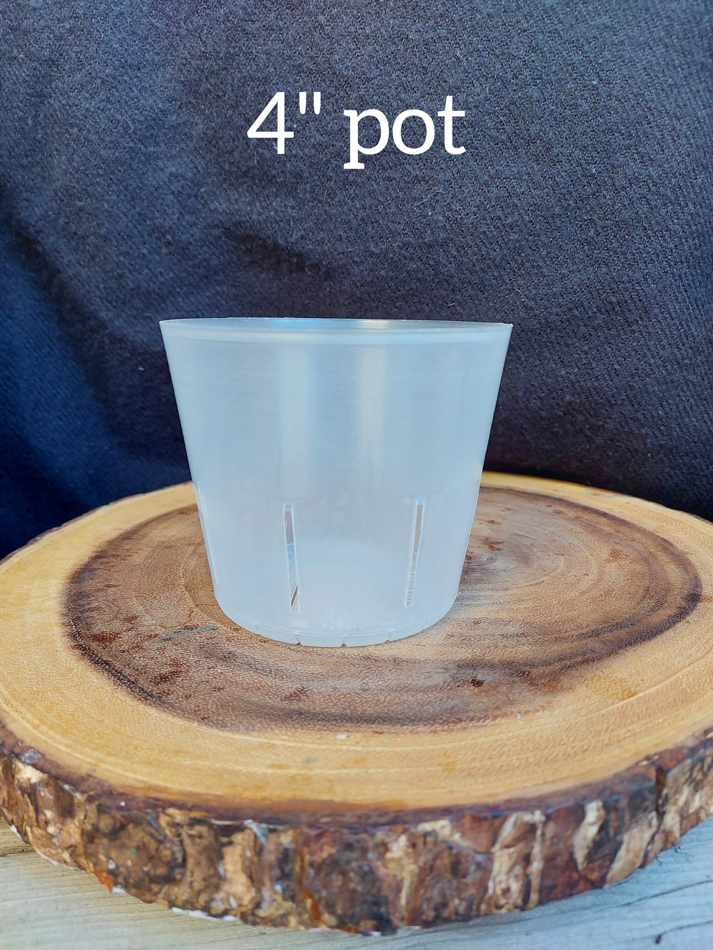 4" Clear Orchid Pot