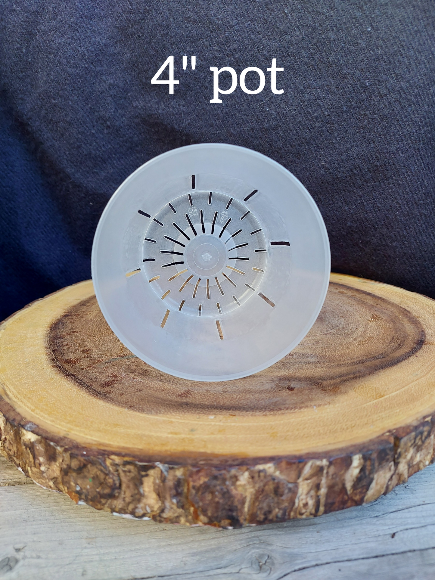 4" Clear Orchid Pot