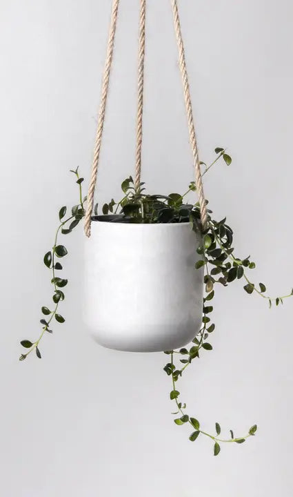 4" Hanging Signature Stone Pot