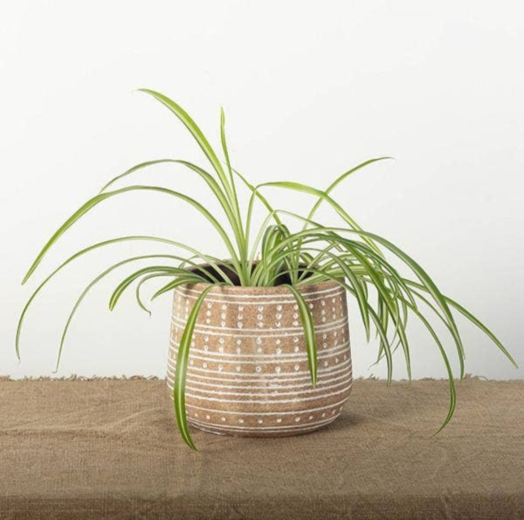 Boho Dotted Pot