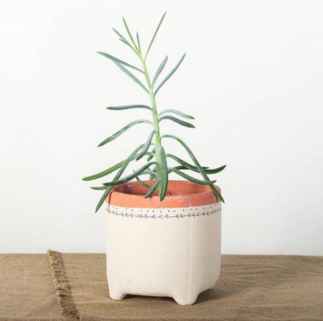 Large Raised Modern Pot
