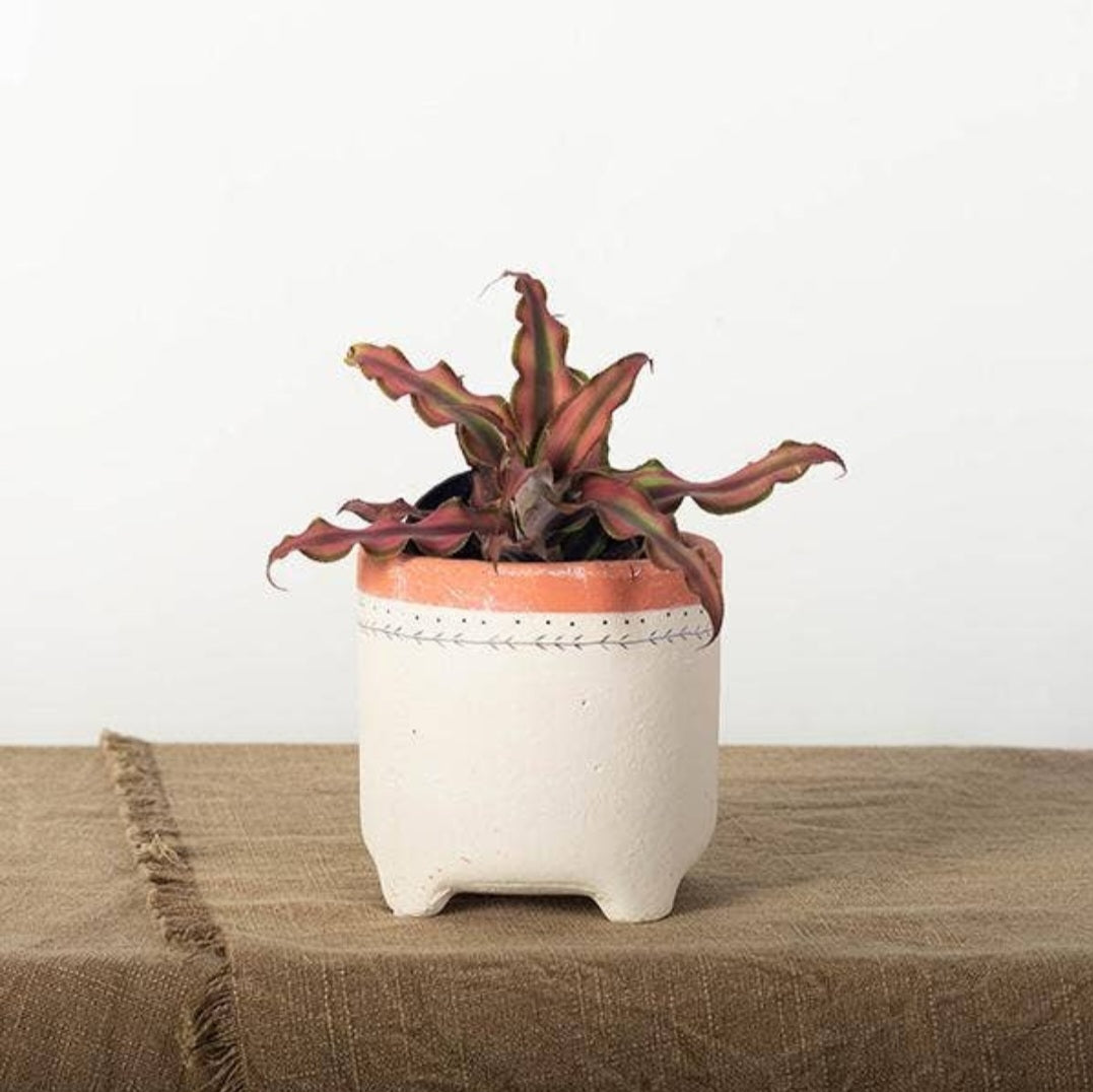 Small Raised Modern Pot
