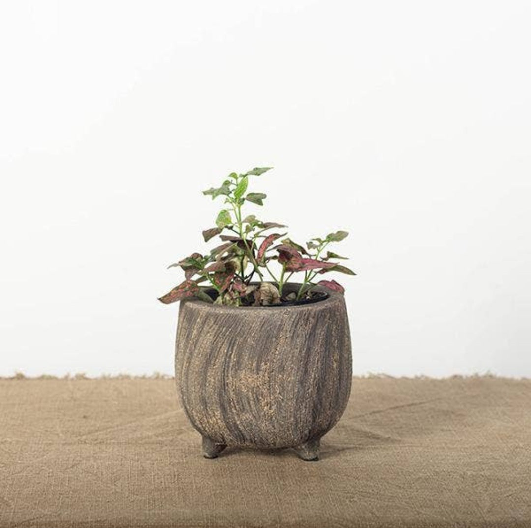 Small Textured Raised Pot
