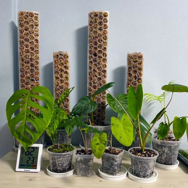 Fillable Moss Pole - Medium - 16"