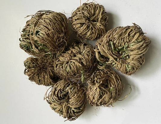 Rose of Jericho