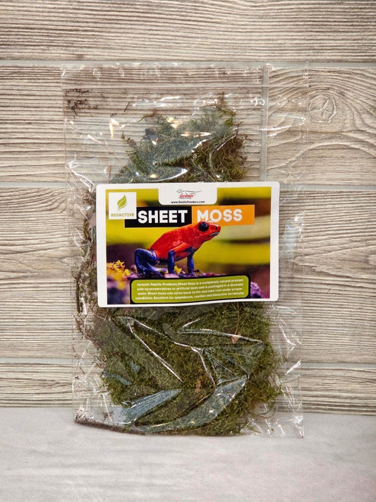 Sheet Moss