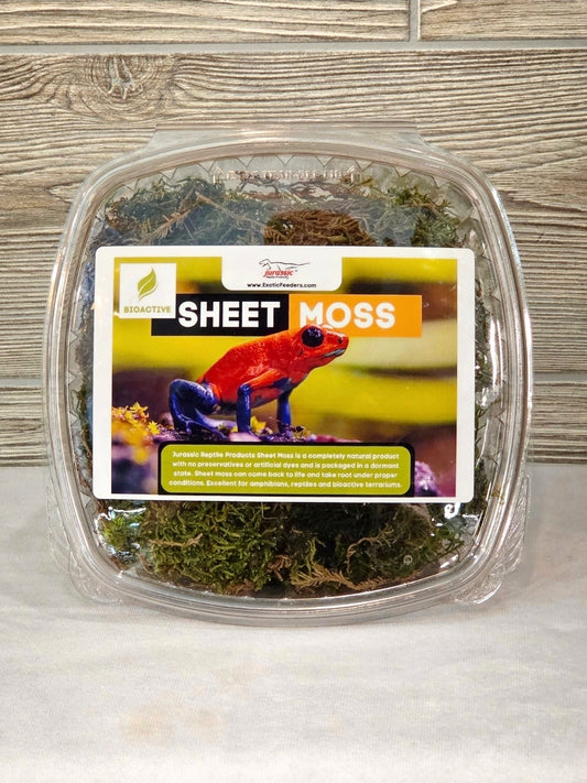 Sheet Moss Tub