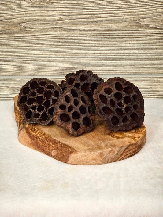 Lotus Pod