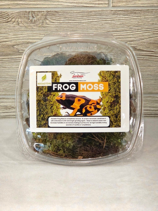 Frog Moss Tub