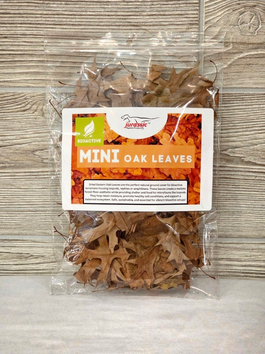 Mini Oak Leaves