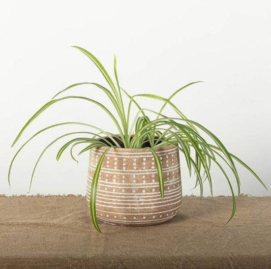 Boho Dotted Pot